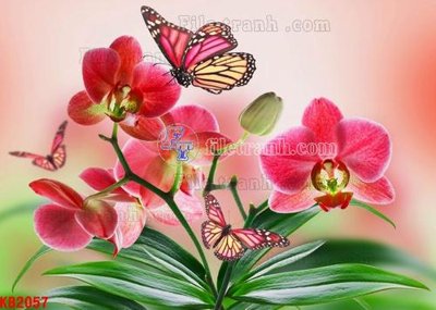 Download file File in kính bếp KB2057 (gốc) cho xưởng in