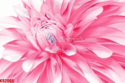 File tranh gốc File in kính bếp KB2065 (bản quyền) Filetranh.com