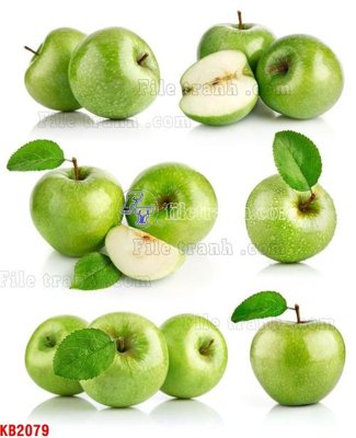 File tranh File in kính bếp KB2079 (gốc) chủ đề thiên nhiên