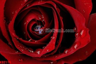 Download file File in kính bếp KB2115 (gốc) cho xưởng in