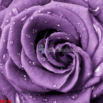 File ảnh gốc File in kính bếp KB2143 (chuyên in mica)