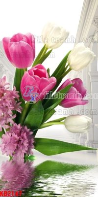 File gốc File in kính bếp KB2147 (chuẩn CMYK) cho nhà in