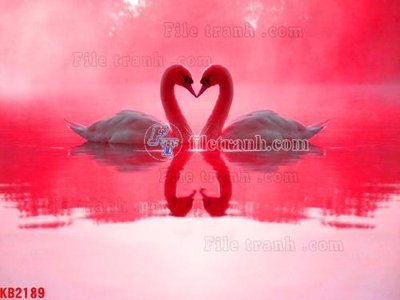 File ảnh File in kính bếp KB2189 (gốc) in backdrop sự kiện