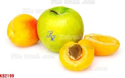 File gốc File in kính bếp KB2199 (cho in ấn) độc quyền