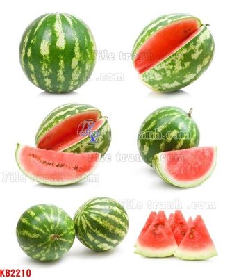 File gốc File in kính bếp KB2210 (in lụa) hoa văn cổ điển