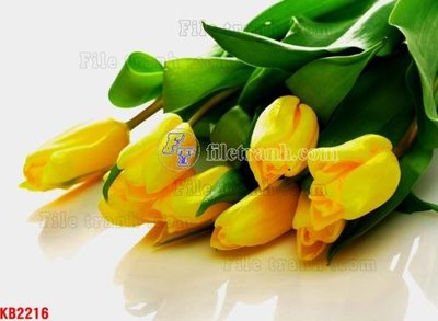 File in trần File in kính bếp KB2216 (bản gốc) trời sao