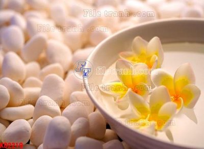 Tải file File in kính bếp KB2219 (gốc) làm tranh trang trí