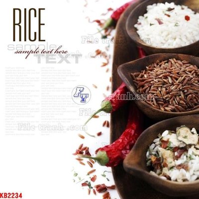 Tải file File in kính bếp KB2234 (PSD) cho in ấn quảng cáo