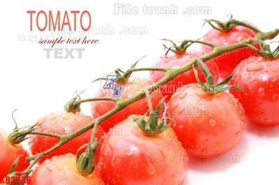 File ảnh gốc File in kính bếp KB2236 (chuyên in mica)