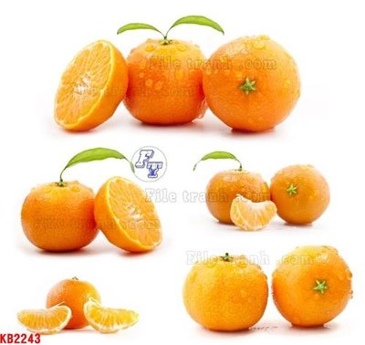 File ảnh File in kính bếp KB2243 (gốc) dùng in Pano