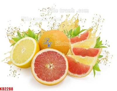 File in ấn cao cấp File in kính bếp KB2288 (file gốc)