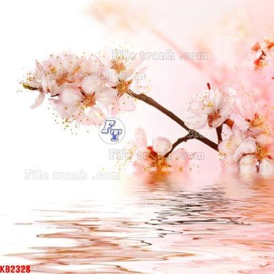 File gốc File in kính bếp KB2328 (PNG) không nền chất lượng