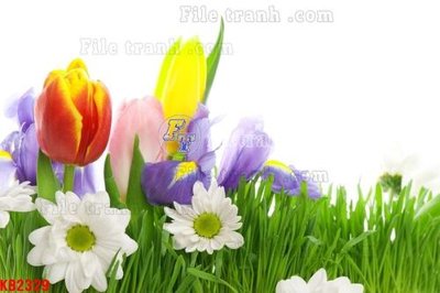 File PSD File in kính bếp KB2329 (gốc) cho designer