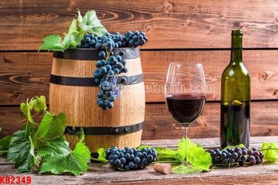 Tải file gốc File in kính bếp KB2349 (in khổ lớn) không vỡ