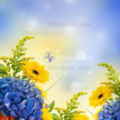 File in trần File in kính bếp KB2379 (bản gốc) trời sao