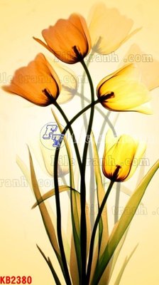 File tranh File in kính bếp KB2380 (bản gốc) in canvas