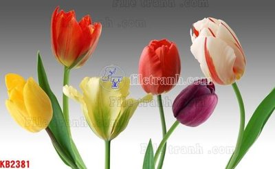 File tranh File in kính bếp KB2381 (ảnh gốc) độc quyền