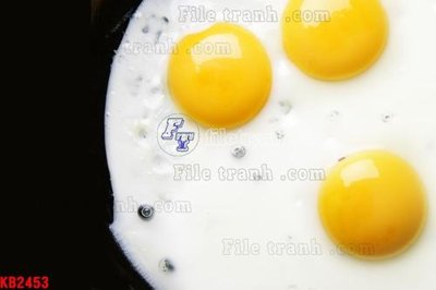 File ảnh File in kính bếp KB2453 (gốc) in decal dán tường