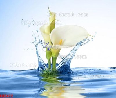 File gốc File in kính bếp KB2472 (chủ đề hiện đại) trang trí