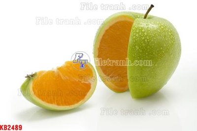 Tải file gốc File in kính bếp KB2489 dùng cho in ấn