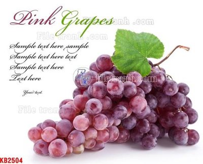 File gốc File in kính bếp KB2504 (in 3D) nghệ thuật