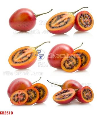 File gốc File in kính bếp KB2510 (Filetranh.com) File in kính bếp KB2510