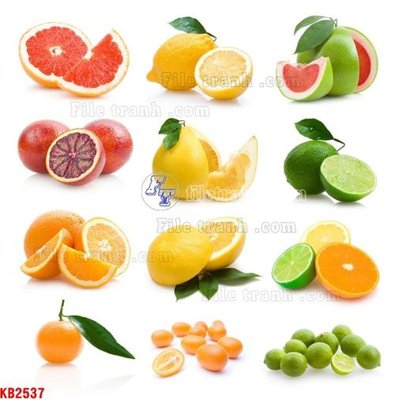 Mua file gốc File in kính bếp KB2537 (PSD) tại Filetranh.com