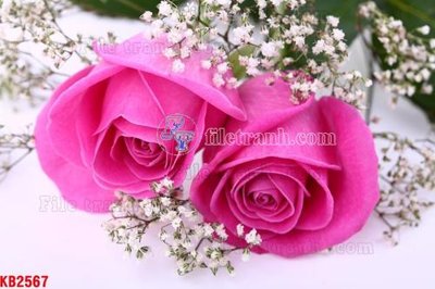 Download file ảnh gốc File in kính bếp KB2567 để in ấn