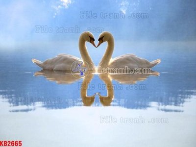 Download file gốc File in kính bếp KB2665 (in mica) trang trí