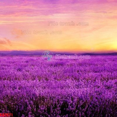 Hình ảnh file gốc in lụa File in kính bếp KB2671