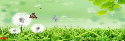 File PSD File in kính bếp KB27 (gốc) tách lớp chi tiết