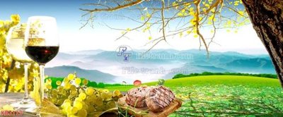 Download file gốc File in kính bếp KB3113 (in mica) logo