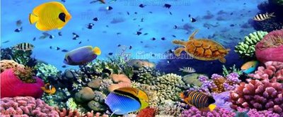 File tranh File in kính bếp KB3158 (bản gốc) in canvas