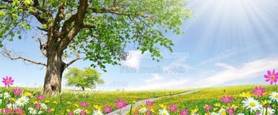 File tranh gốc File in kính bếp KB3183 (bản quyền) độc đáo