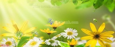 File PSD File in kính bếp KB3186 (gốc) cho designer