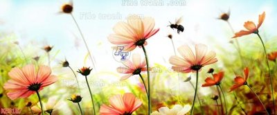 Tải file tranh File in kính bếp KB3187 (ảnh gốc) ngay