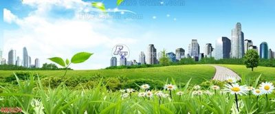 Download file gốc File in kính bếp KB3254 (in lụa) hoa lá