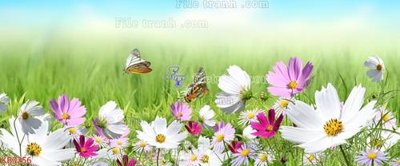 File in lụa File in kính bếp KB3256 (tân cổ điển) File in kính bếp KB3256