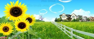 File gốc File in kính bếp KB3257 (in tráng gương) hiện đại