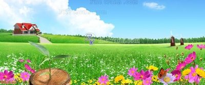 File gốc File in kính bếp KB3260 cho in ấn và thiết kế