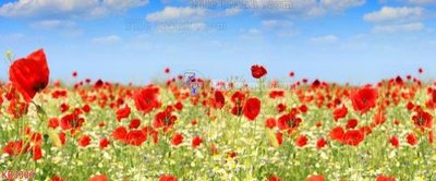 Download file File in kính bếp KB3306 (chất lượng in ấn)