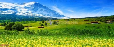 File tranh trang trí File in kính bếp KB3311 (tải file gốc)