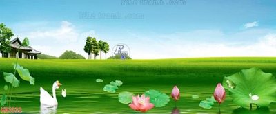 File in ấn File in kính bếp KB3332 (bản gốc) cao cấp