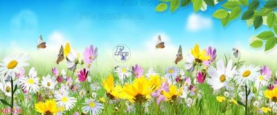 Download file File in kính bếp KB3339 (gốc) in mica đèn LED