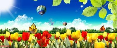 File tranh File in kính bếp KB3345 (gốc) chủ đề thiên nhiên