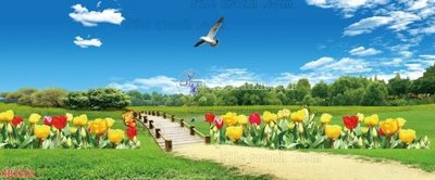 File tranh File in kính bếp KB3352 (bản gốc) in lụa 5D