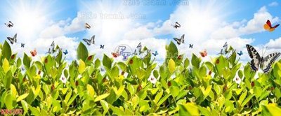 File ảnh File in kính bếp KB3390 (gốc) cho trang trí nhà hàng