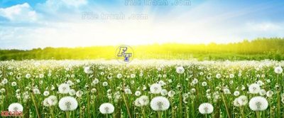 Tải file gốc File in kính bếp KB3392 dùng cho in ấn