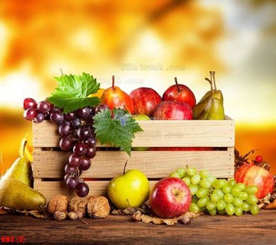 File PSD File in kính bếp KB3 (chất lượng in ấn)