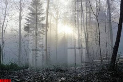 Download file gốc File tranh in décor tranh treo tường tổng hợp KD10011 (in mica) trang trí